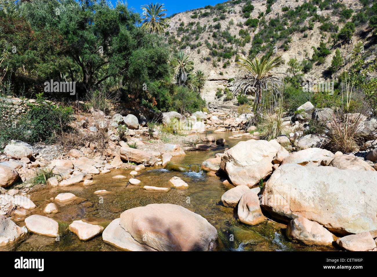 Par les gorges de la rivière dans la vallée du Paradis, au nord d'Agadir, Maroc, Afrique du Nord Banque D'Images