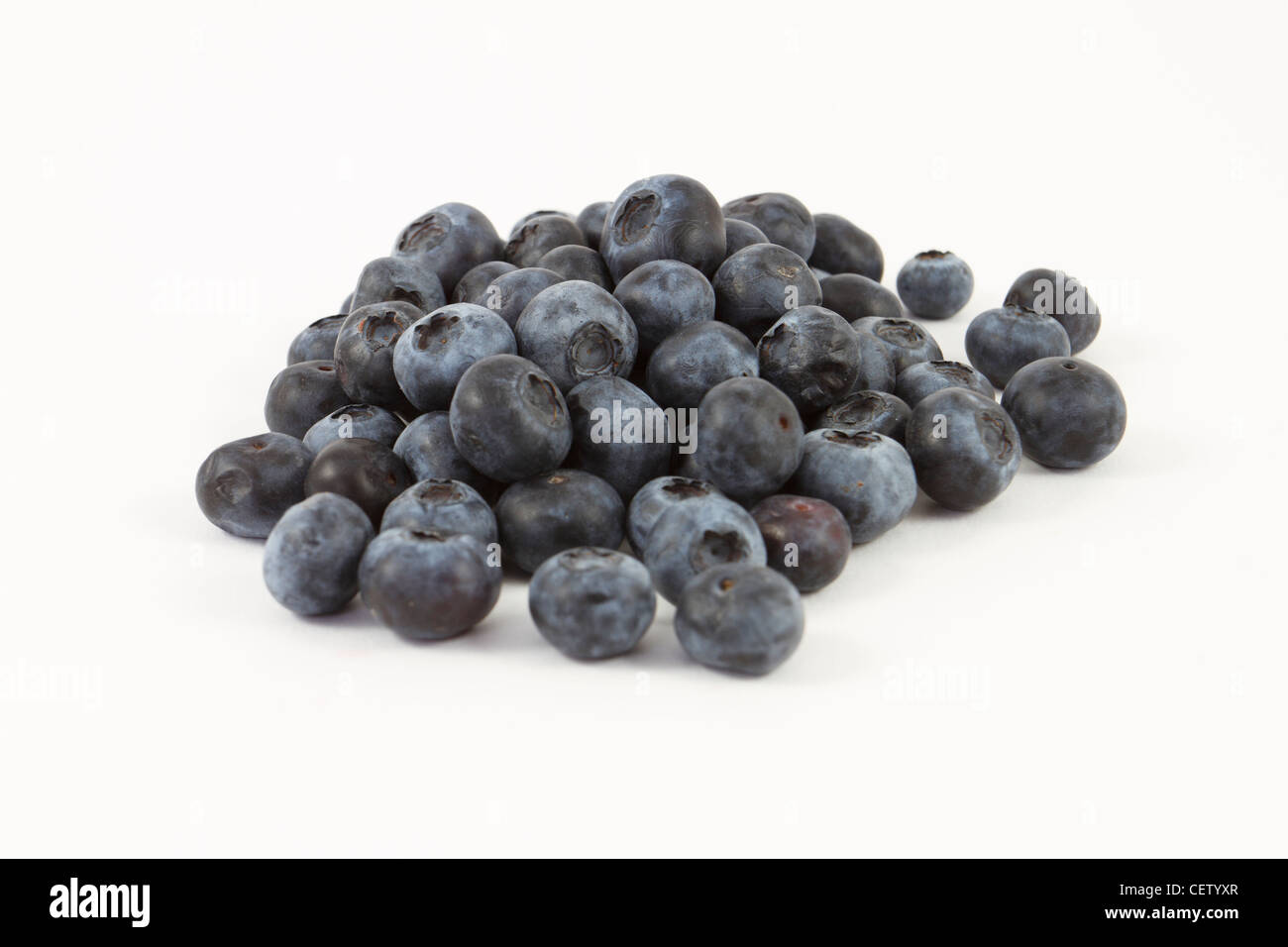 La myrtille, Vaccinium corymbosum, superfruits sur un fond blanc. Banque D'Images