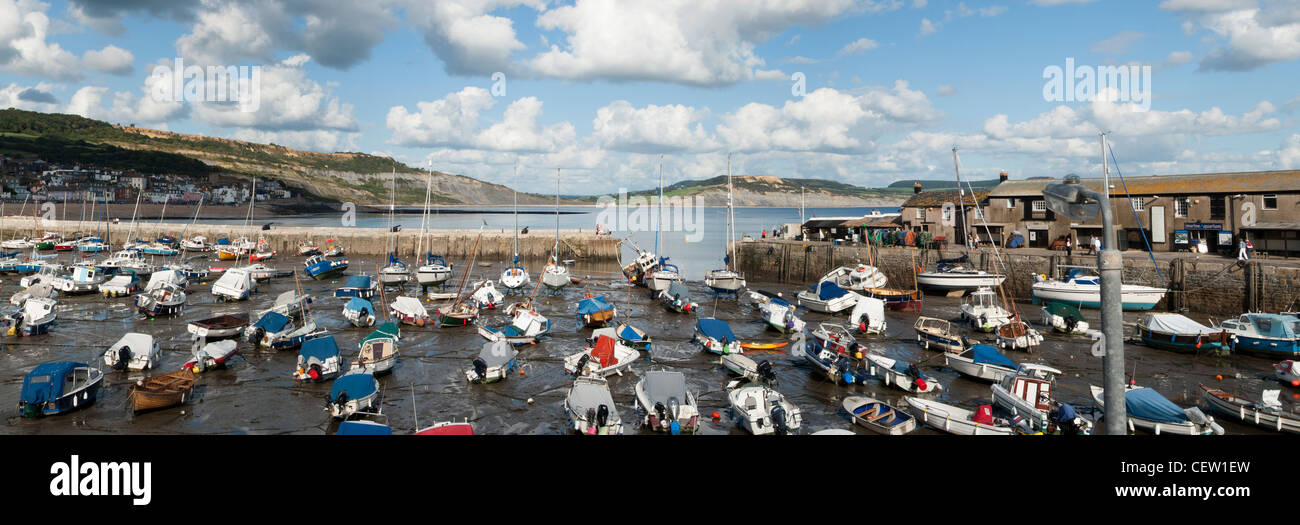 Bateaux dans le port à Lyme Regis, dans le Dorset Banque D'Images