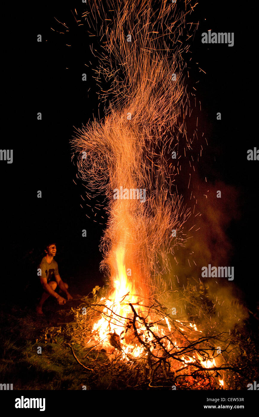Man Burning branches dans le feu de jardin Banque D'Images
