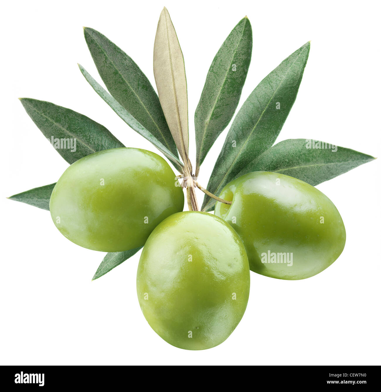 Olives avec des feuilles sur un fond blanc. Banque D'Images