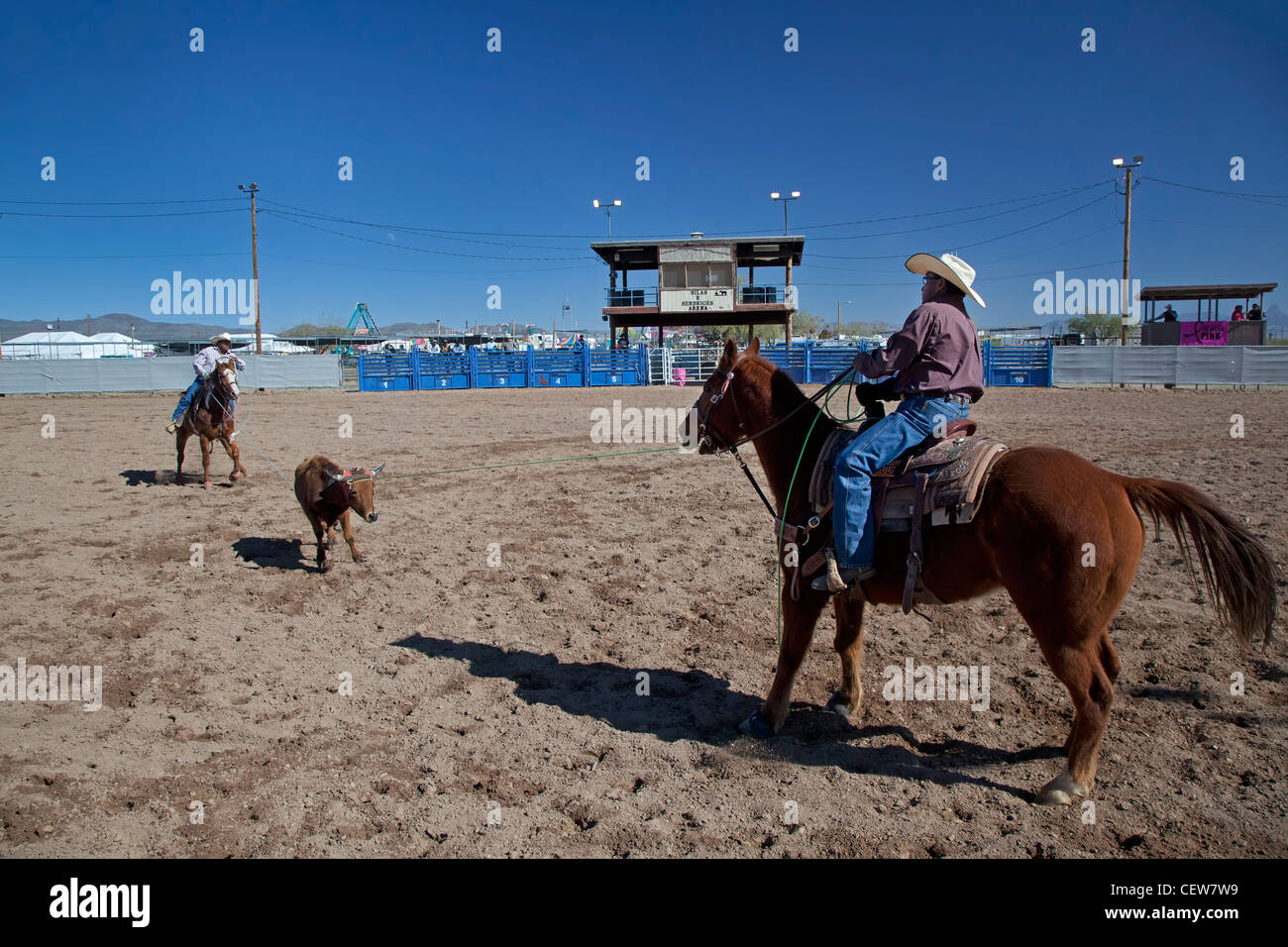 Vend, Arizona - l'équipe concurrence au lasso dans la division des maîtres (âge 40 +) de la nation Tohono O'odham tous Indian Rodeo. Banque D'Images