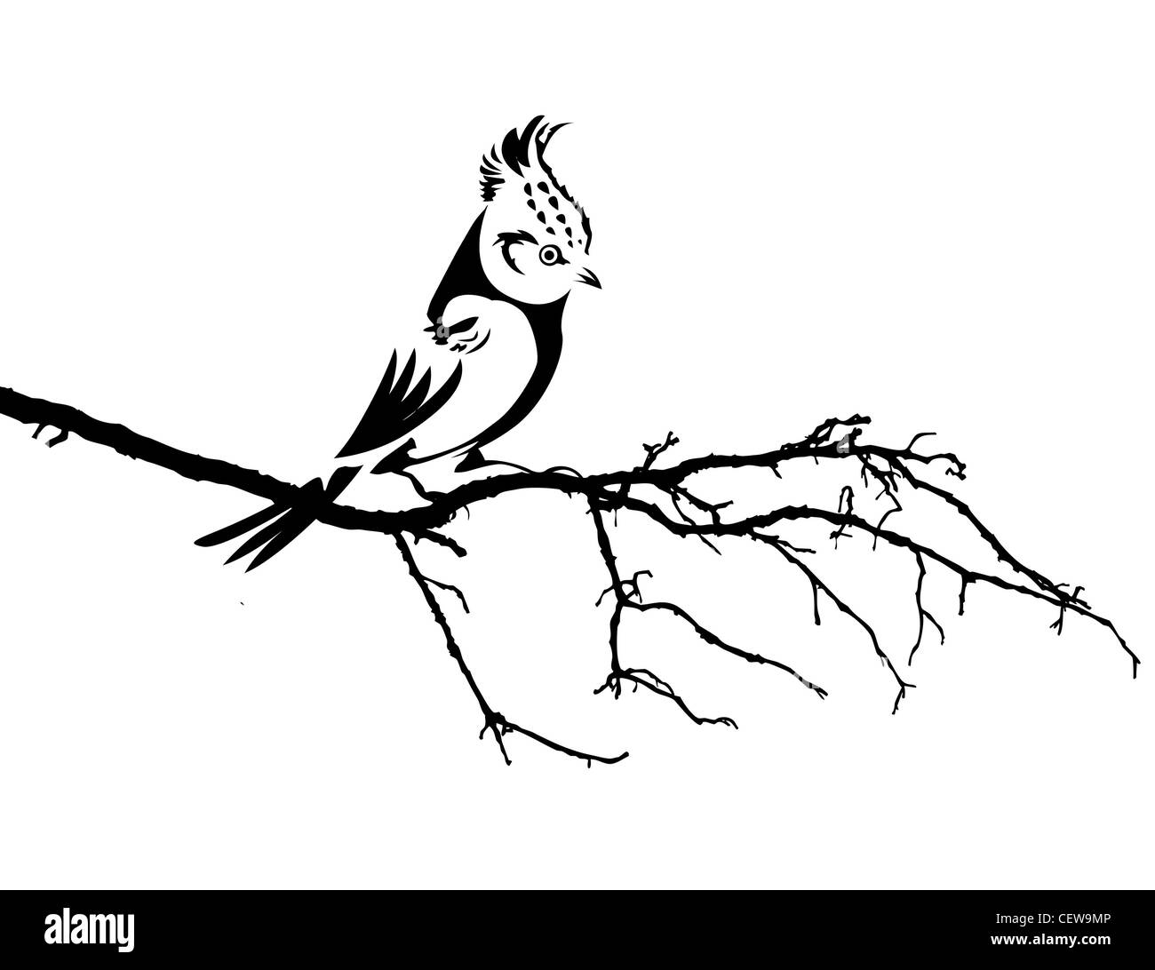 Vector silhouette de l'oiseau sur la branche Banque D'Images