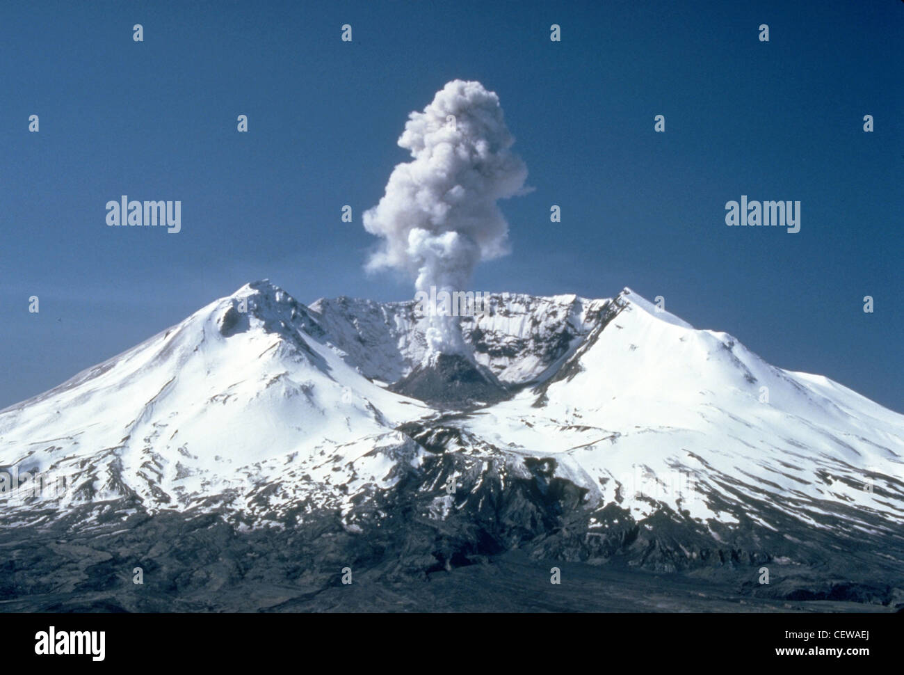 Des panaches de vapeur, de gaz et de cendres se sont souvent produites au mont St. Helens au début des années 1980. Par temps clair, ils ont pu être vus de Portland, Oregon, à 50 miles (81 kilomètres) au sud. Le panache photographié ici s'est levé à près de 3,000 pieds (1,000 mètres) au-dessus du bord du volcan. La vue est de Harrys Ridge, à huit miles (8 kilomètres) au nord de la montagne. Banque D'Images
