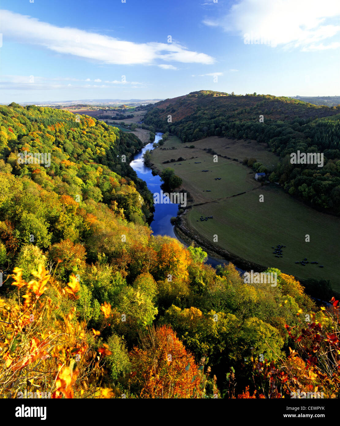 Au début de l'automne matin à Symond's Yat Rock surplombant la vallée de la Wye. Banque D'Images