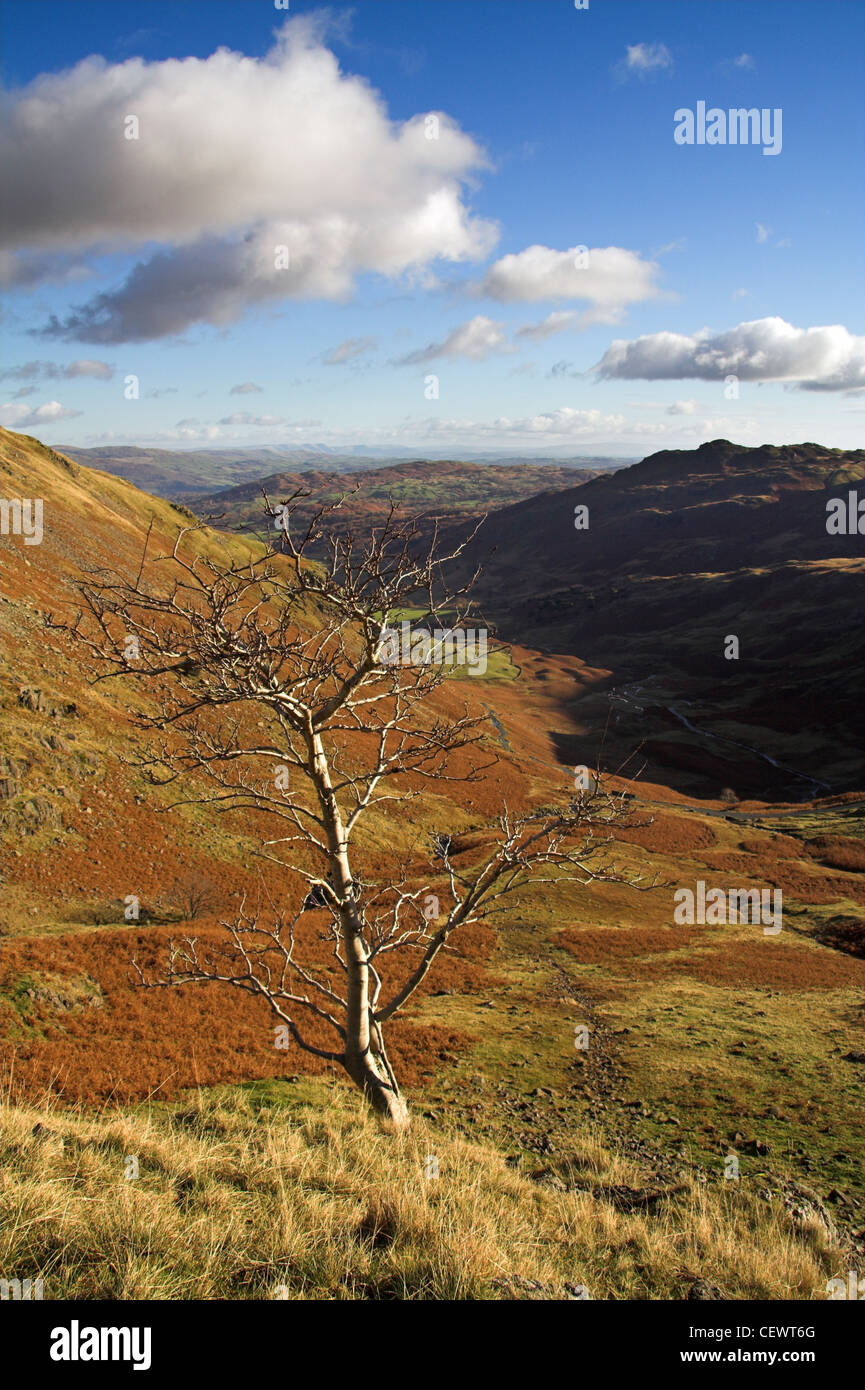 La vue en direction de Little Langdale de dessus Wrynose Pass. Banque D'Images