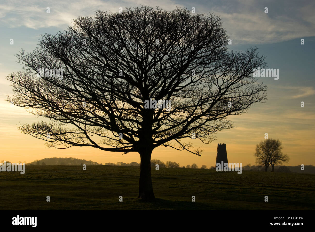 Une vue vers le moulin noir monument. Situé sur le pâturage à l'extérieur de Beverley connu comme Beverley Westwood. Banque D'Images