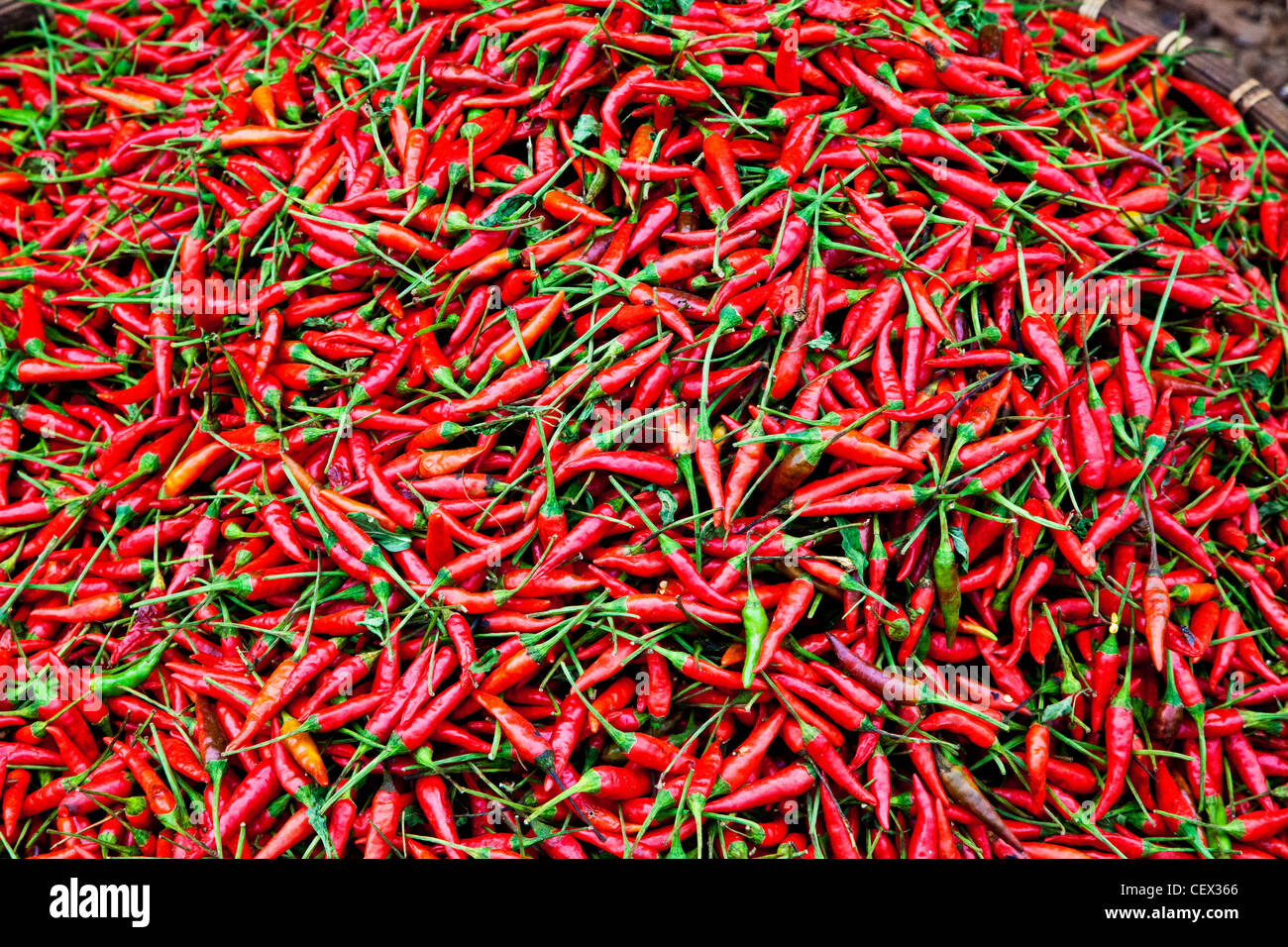 Bol de chili peppers au Cambodge Banque D'Images