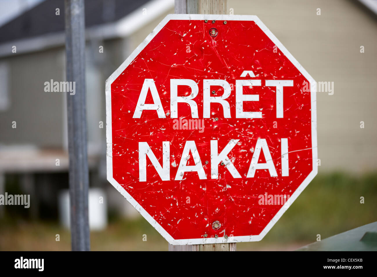 Panneau d'arrêt en langue innue, Natashquan, Québec, Canada Banque D'Images