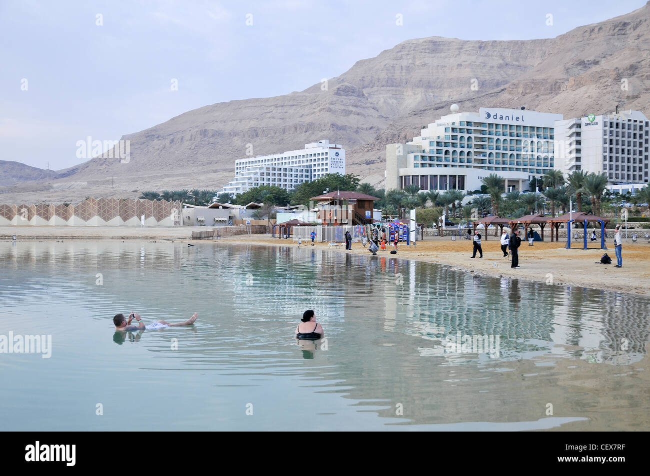 Israël, les touristes de la Mer Morte flottant dans l'eau Banque D'Images