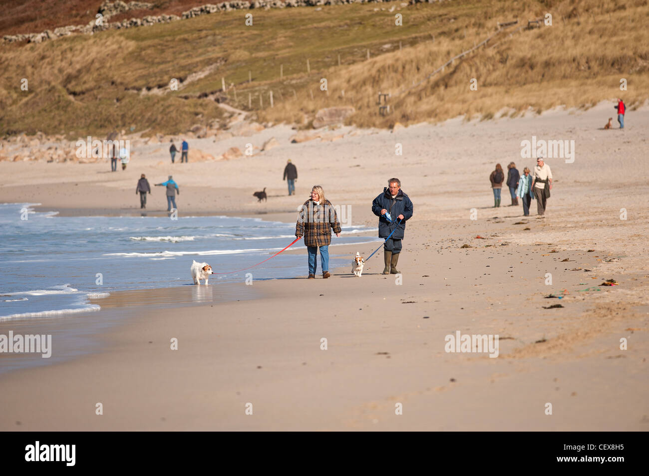 Les promeneurs de chiens sur la plage de Sennen. Banque D'Images