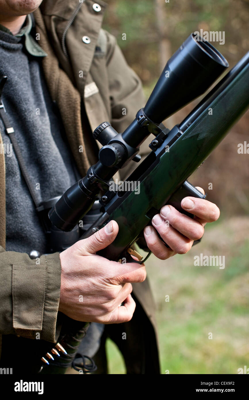 Man loading rifle, Deer Hunter, la forêt de Thetford, UK Banque D'Images Man loading rifle, Deer Hunter, la forêt de Thetford, UK Banque D'Images