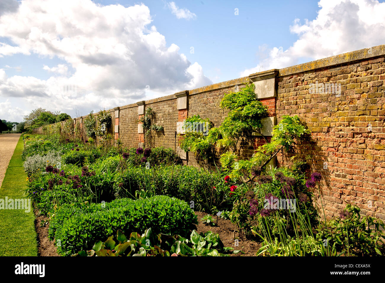 Jardin Hampton Court Banque D'Images