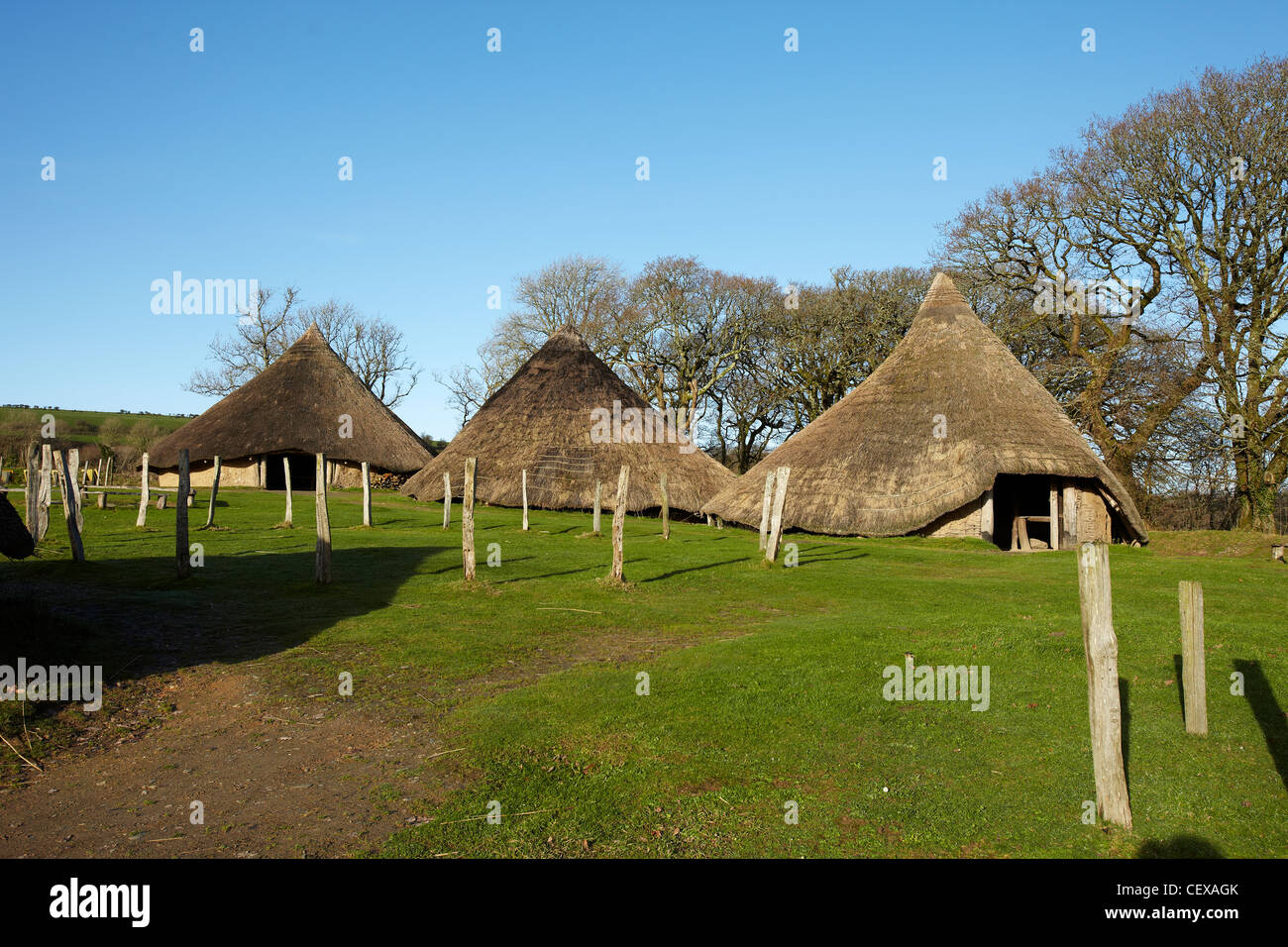 À l'âge de fer Roundhouse, Castell Henllys Âge de fer fort, Castell Henllys, West Wales, UK Banque D'Images