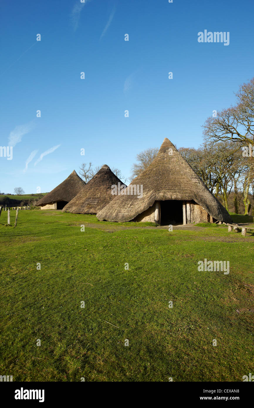 À l'âge de fer Roundhouse, Castell Henllys Âge de fer fort, Castell Henllys, West Wales, UK Banque D'Images