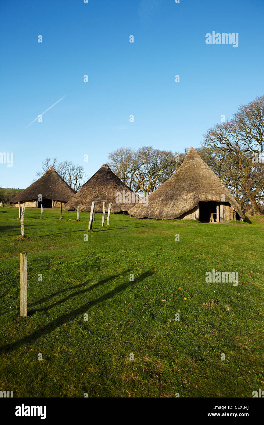 À l'âge de fer Roundhouse, Castell Henllys Âge de fer fort, Castell Henllys, West Wales, UK Banque D'Images