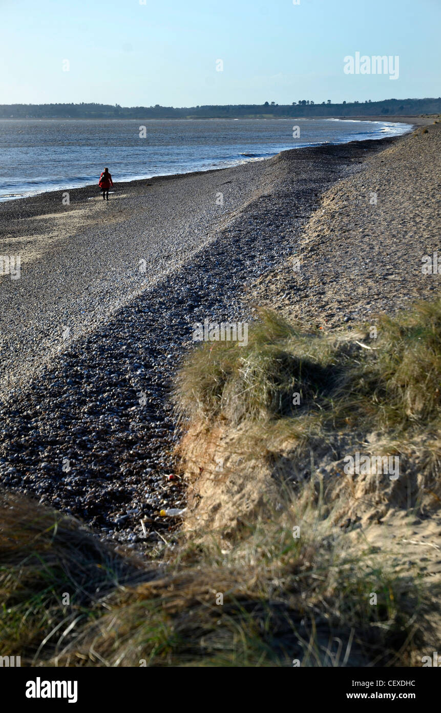 Femme solitaire marche sur plage de galets à walberwswick uk suffolk Banque D'Images