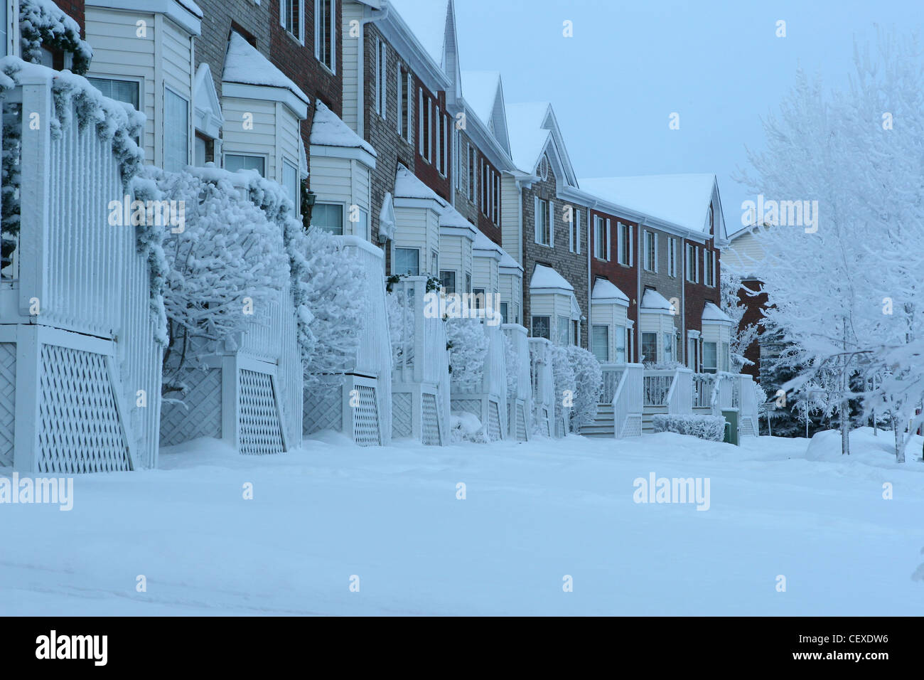 Des scènes d'hiver de Calgary, Alberta, Canada. Les arbres couverts de neige avec la copropriété et trottoir. Banque D'Images