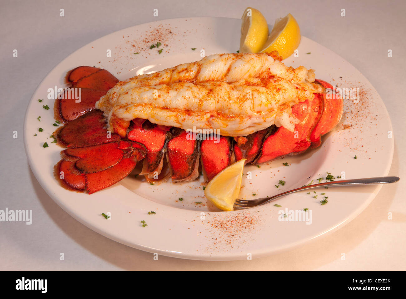 Queue de homard le dîner sur le plateau E USA Banque D'Images