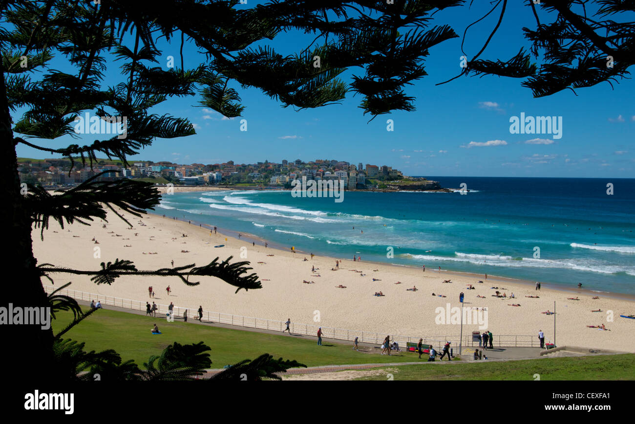 Bondi Beach Sydney Australie Banque D'Images