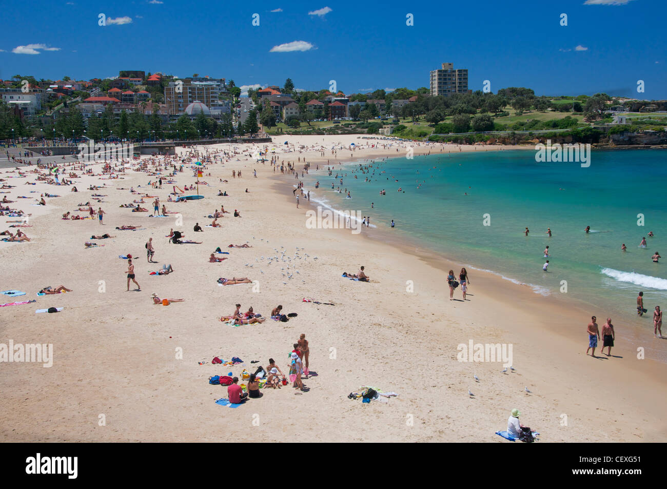 Bondi Beach Sydney Australie Banque D'Images