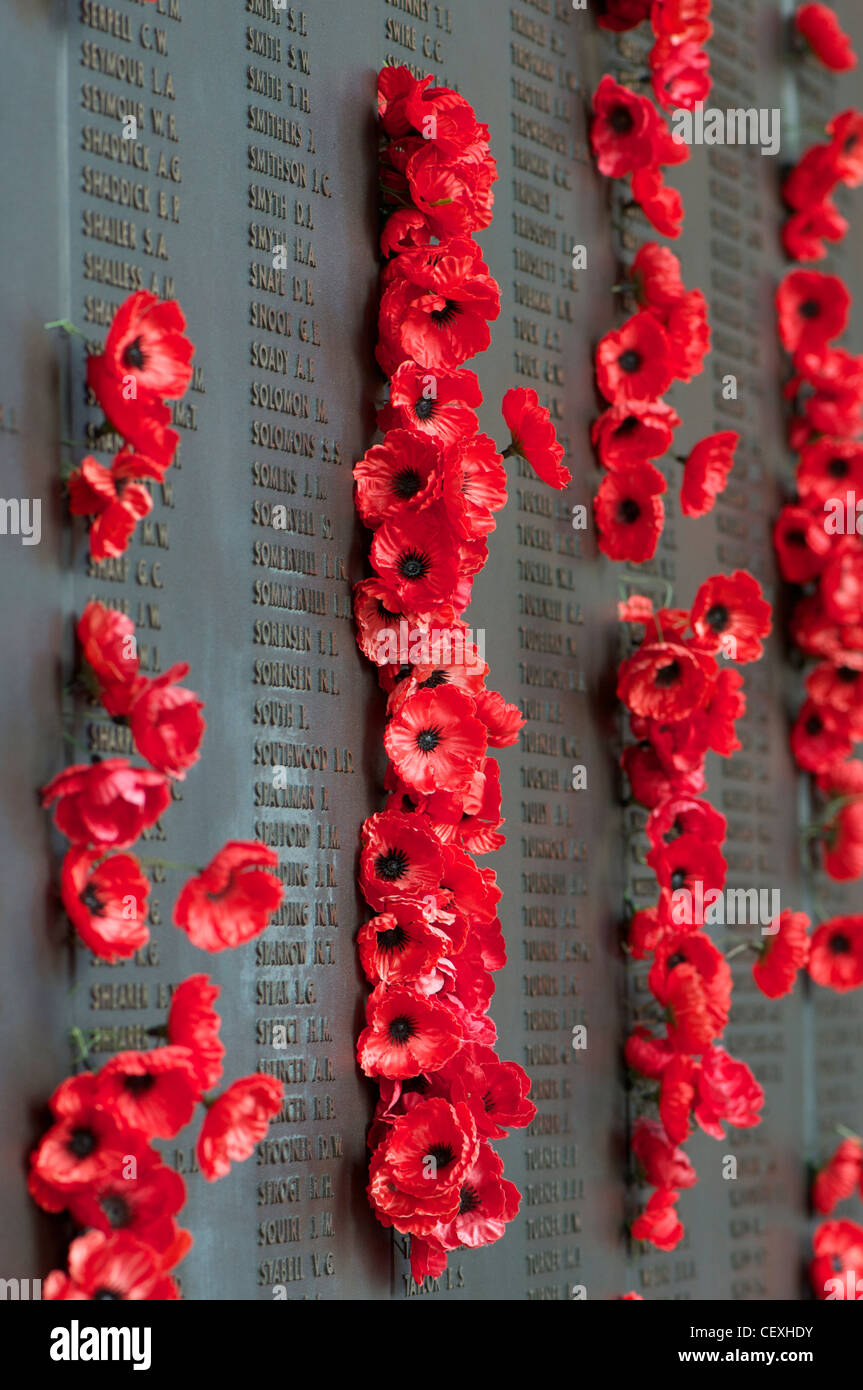 Poppies coincé à côté des noms de proches sur le Mémorial Australien de la guerre à Canberra, Australie Banque D'Images