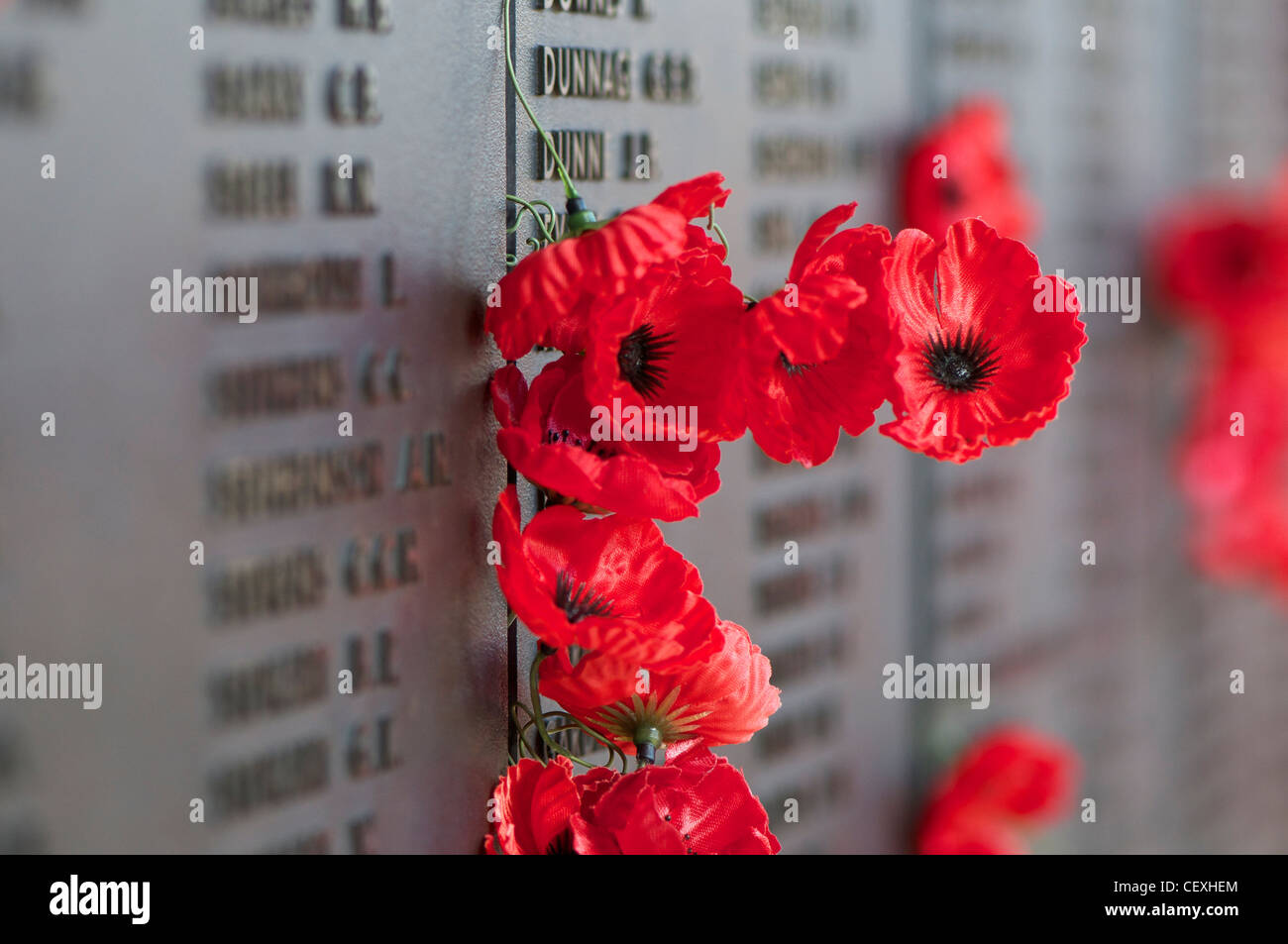 Poppies coincé à côté des noms de proches sur le Mémorial Australien de la guerre à Canberra, Australie Banque D'Images