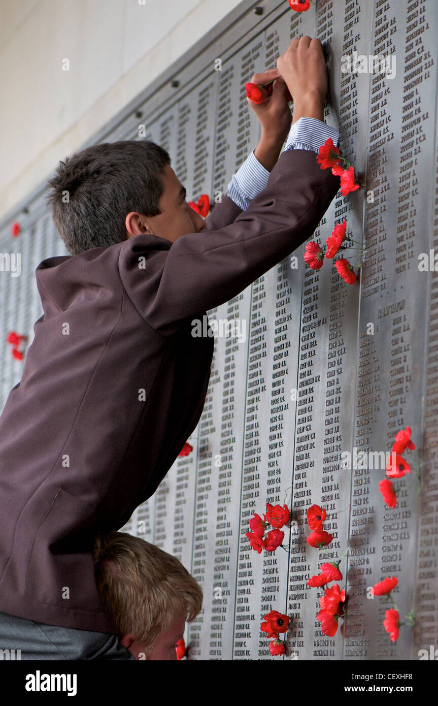 Man placing coquelicots sur l'Australian War Memorial Canberra le Anzac Day Banque D'Images