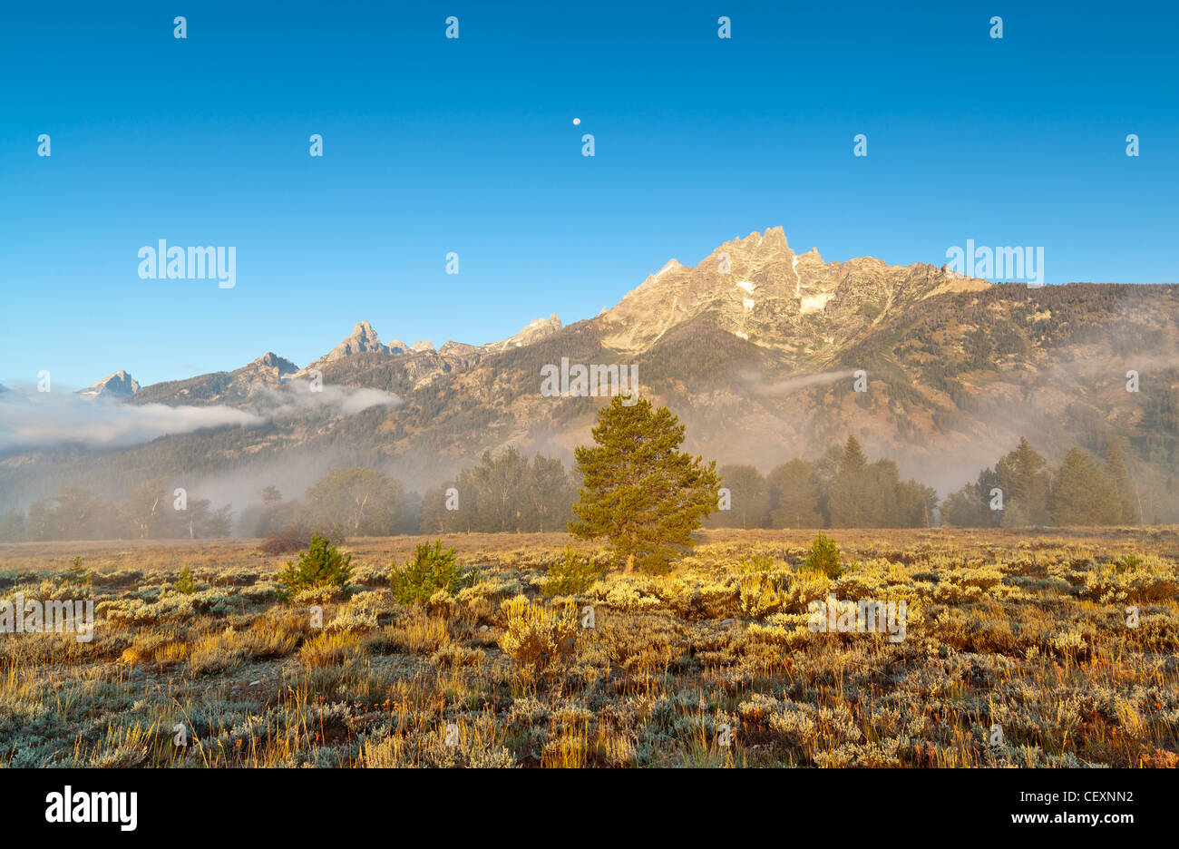 Image de la grand tetons éclairé par les premières lueurs du soleil. Banque D'Images