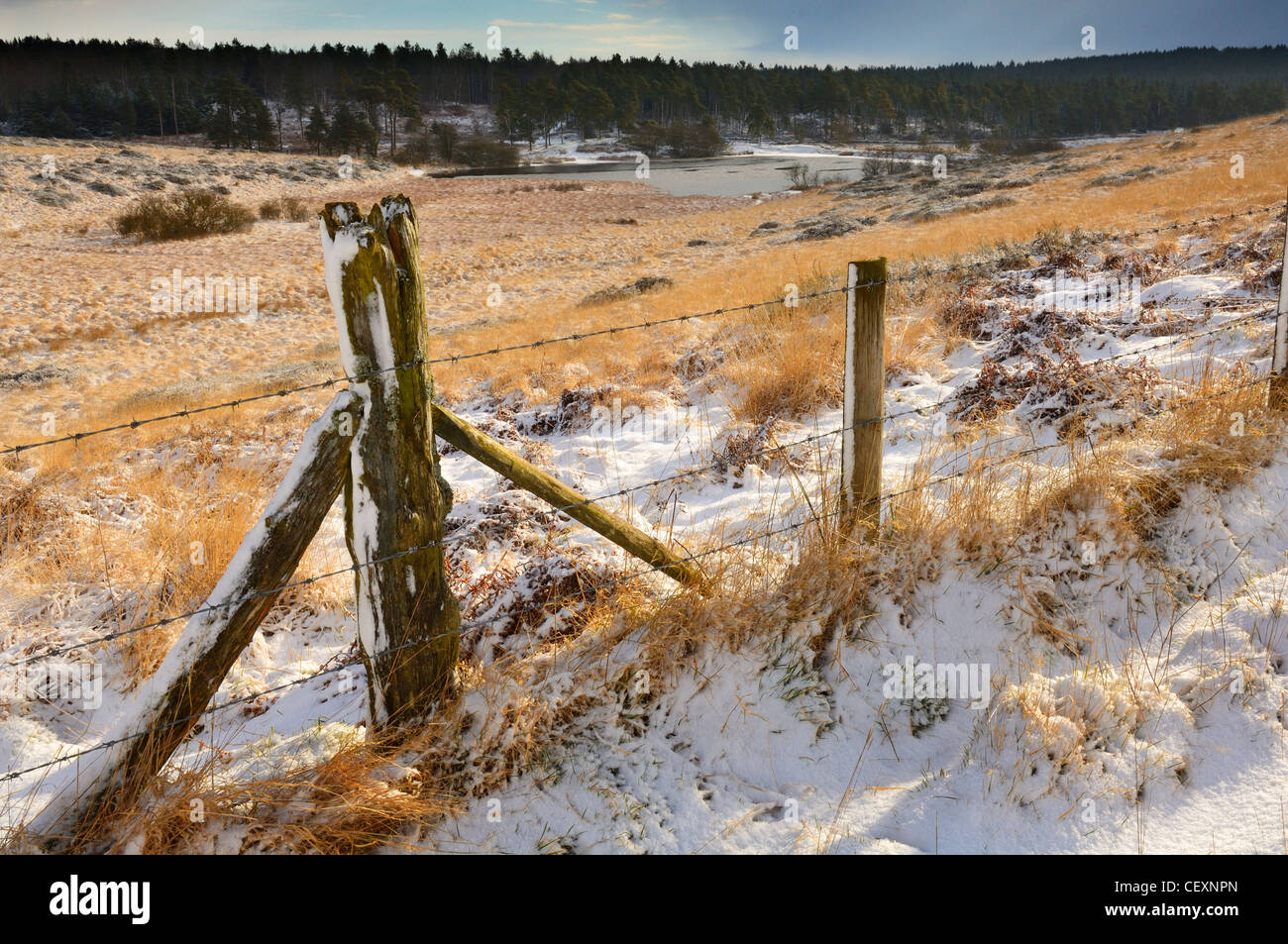 Une vue d'hiver vers l'Priddy Mineries Stockhill et le bois de North Hill, sur les collines de Mendip Somerset, Angleterre. Banque D'Images