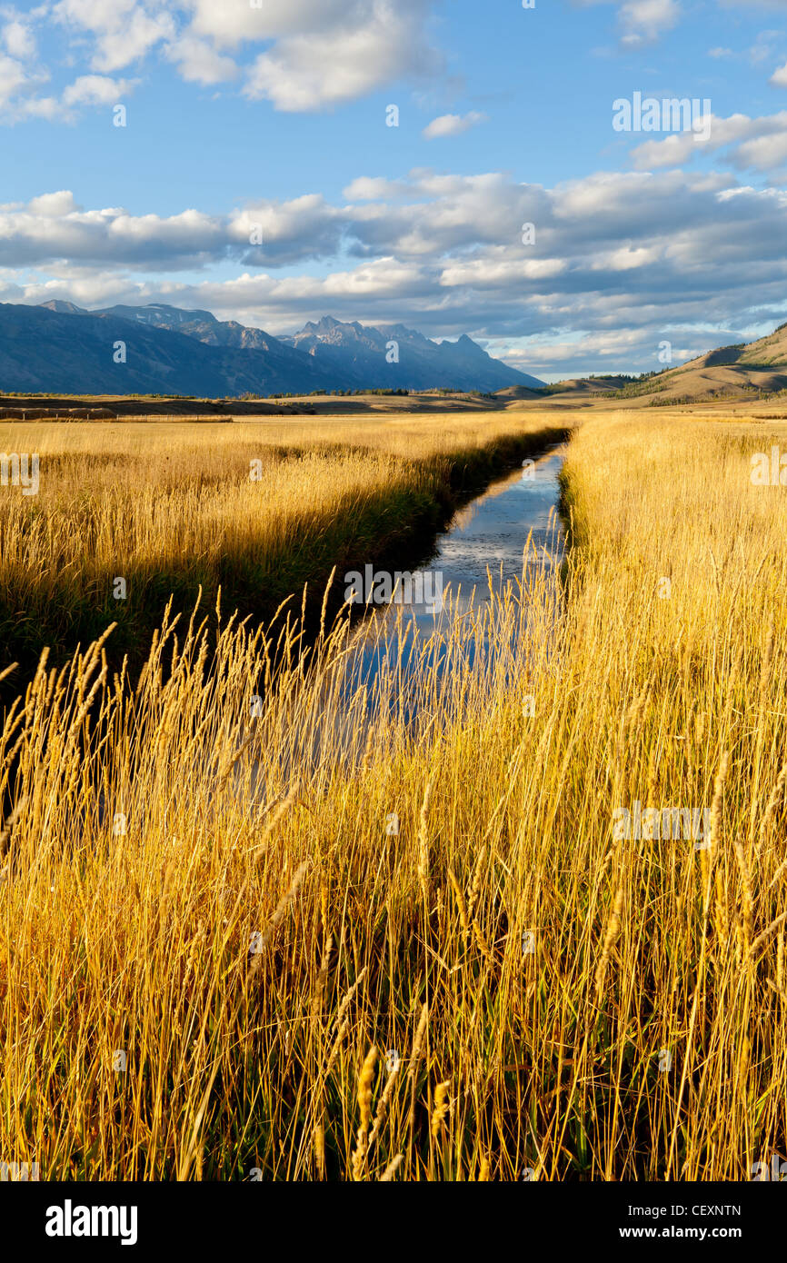 Cette image a été prise au large de Pratt road à l'extérieur de Jackson, Wyoming. c'est ce que je suppose, est un canal d'irrigation que j'ai l'impression que s'exécute à la Snake River. Banque D'Images