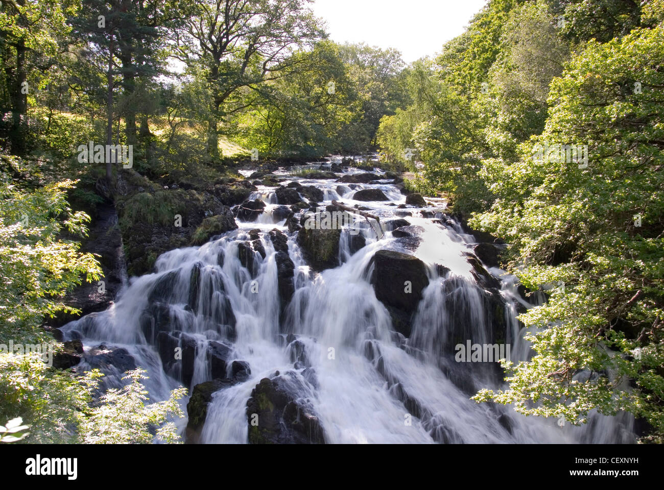 Swallow Falls qui coule en plein essor sur Afon Llugwy River, du Parc National de Snowdonia, Betws y Coed, Gwynedd, au nord du Pays de Galles, Royaume-Uni Banque D'Images