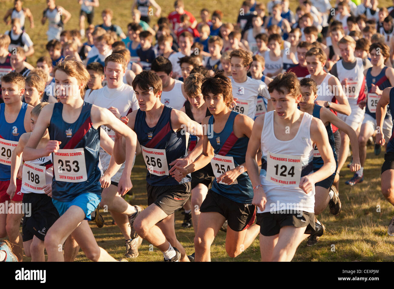 Le Knole Run Sevenoaks School 14 janvier 2012 cross country 15 jeunes 16 17 ans 6 mile run en équipes Banque D'Images Le Knole Run Sevenoaks School 14 janvier 2012 cross country 15 jeunes 16 17 ans 6 mile run en équipes Banque D'Images