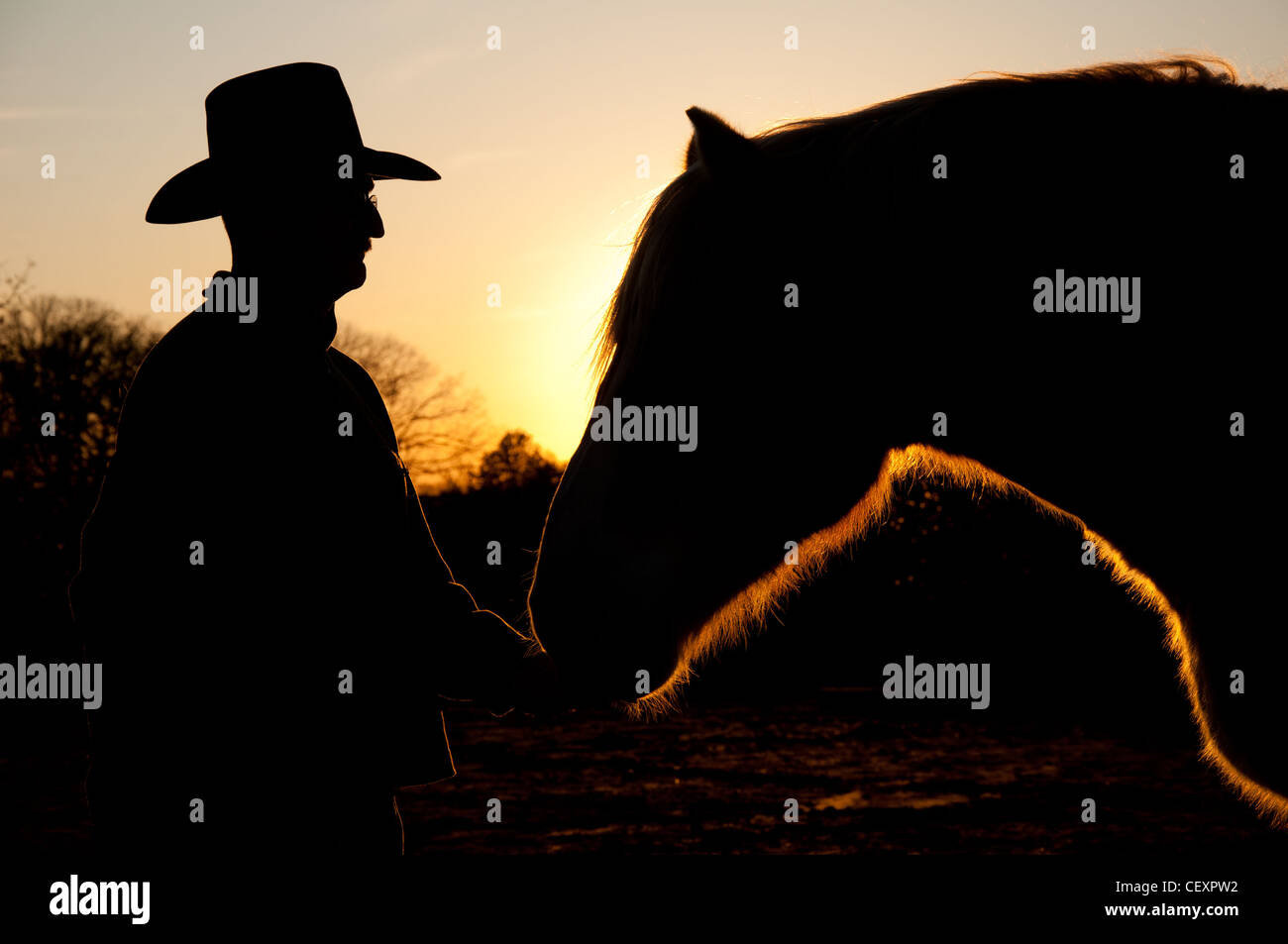 Silhouette d'un homme dans un chapeau de cow-boy avec son cheval contre le coucher du soleil Banque D'Images