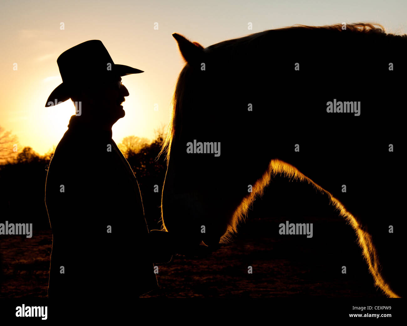 Silhouette d'un homme dans un chapeau de cow-boy avec son cheval contre sunset sky Banque D'Images