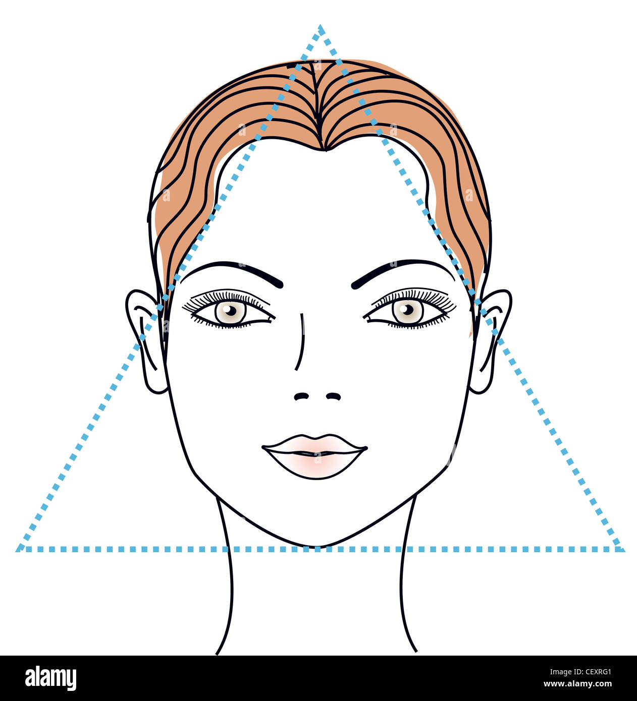 Les différentes formes de visage visage triangulaire Photo Stock Alamy