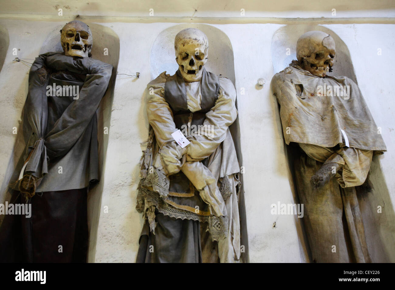 Catacombes Capucines De Palerme Sicile Italie Photo Stock Alamy
