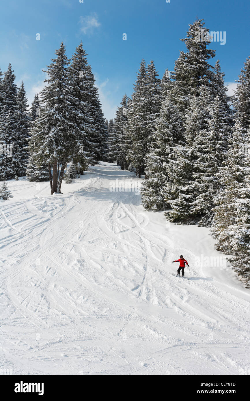 Snowboarder en montagne hivernale Banque D'Images