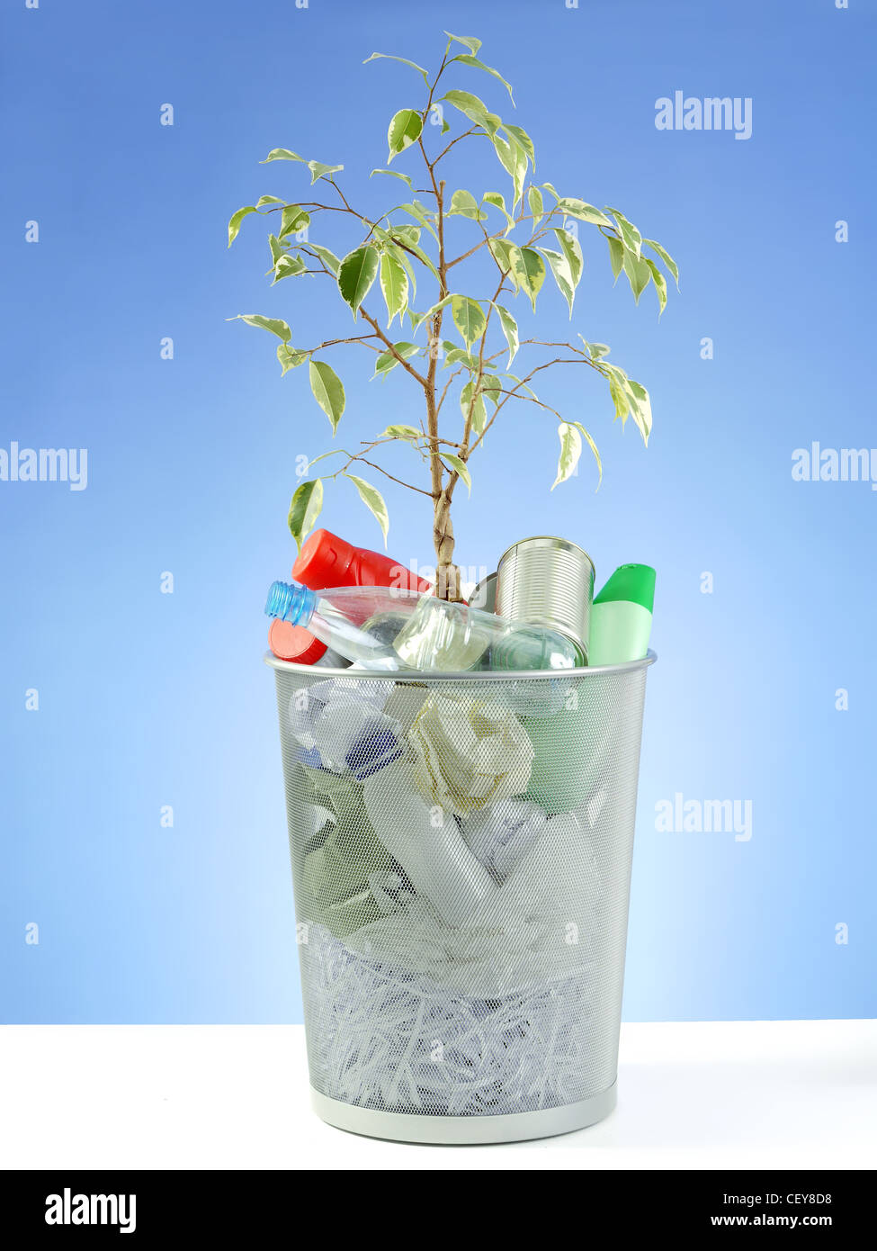 La croissance des plantules en metal corbeille pleine d'ordure domestique tourné sur fond bleu Banque D'Images