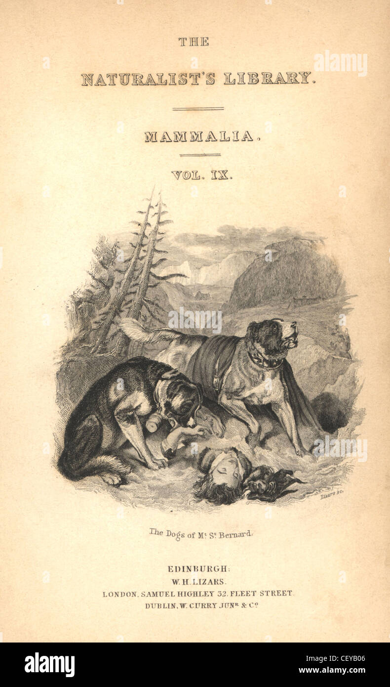 Page de titre avec vignette de Saint Bernard le chien à côté d'un homme inconscient. Banque D'Images