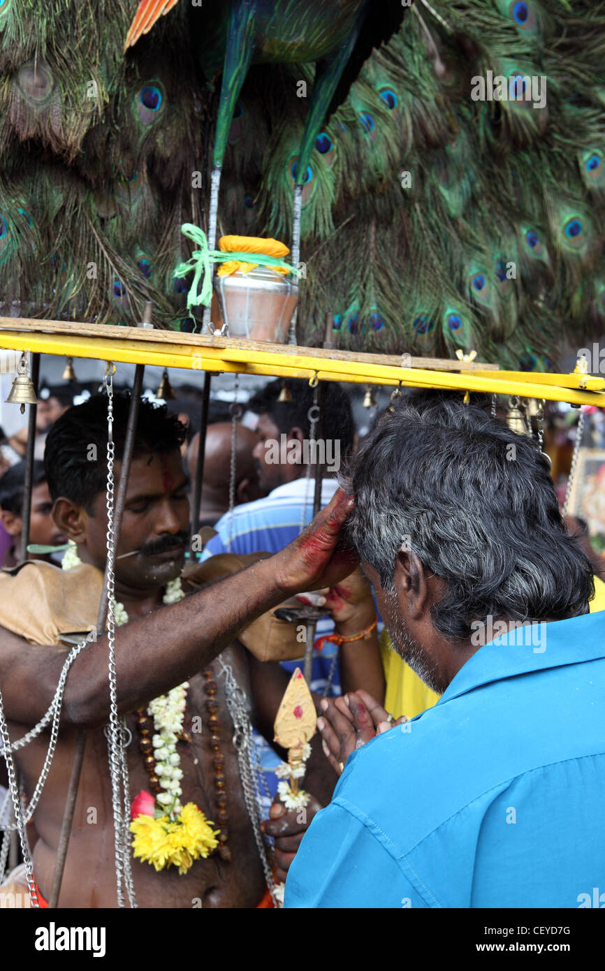 Fervent être béni pendant Thaipusam fête hindoue. Grottes de Batu, Kuala Lumpur, Wilayah Persekutuan, Malaisie, Asie du Sud-Est Banque D'Images