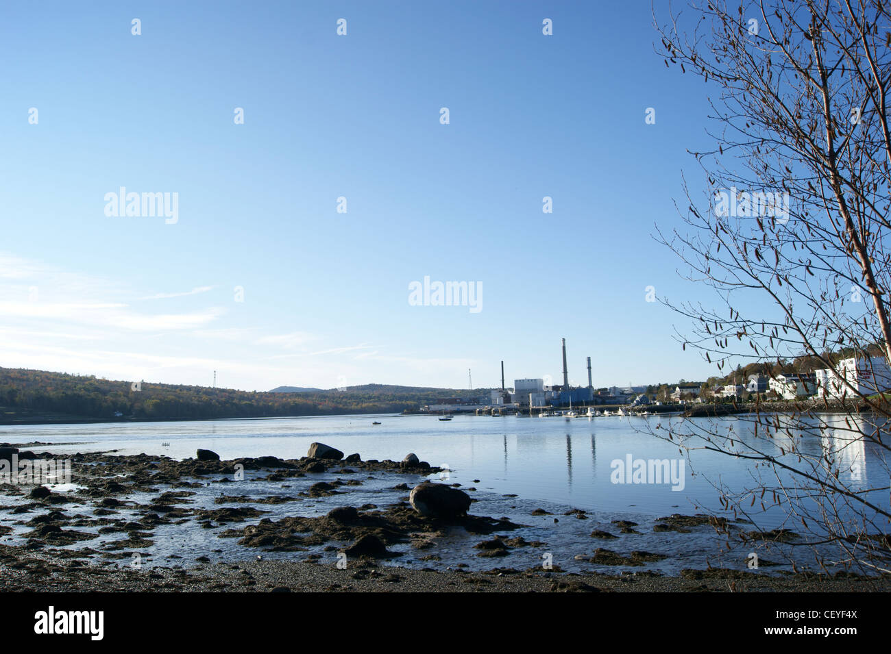 Vue éloignée sur le verso moulin à papier sur la rive de la rivière Penobscot, Maine, Bucksport. Banque D'Images