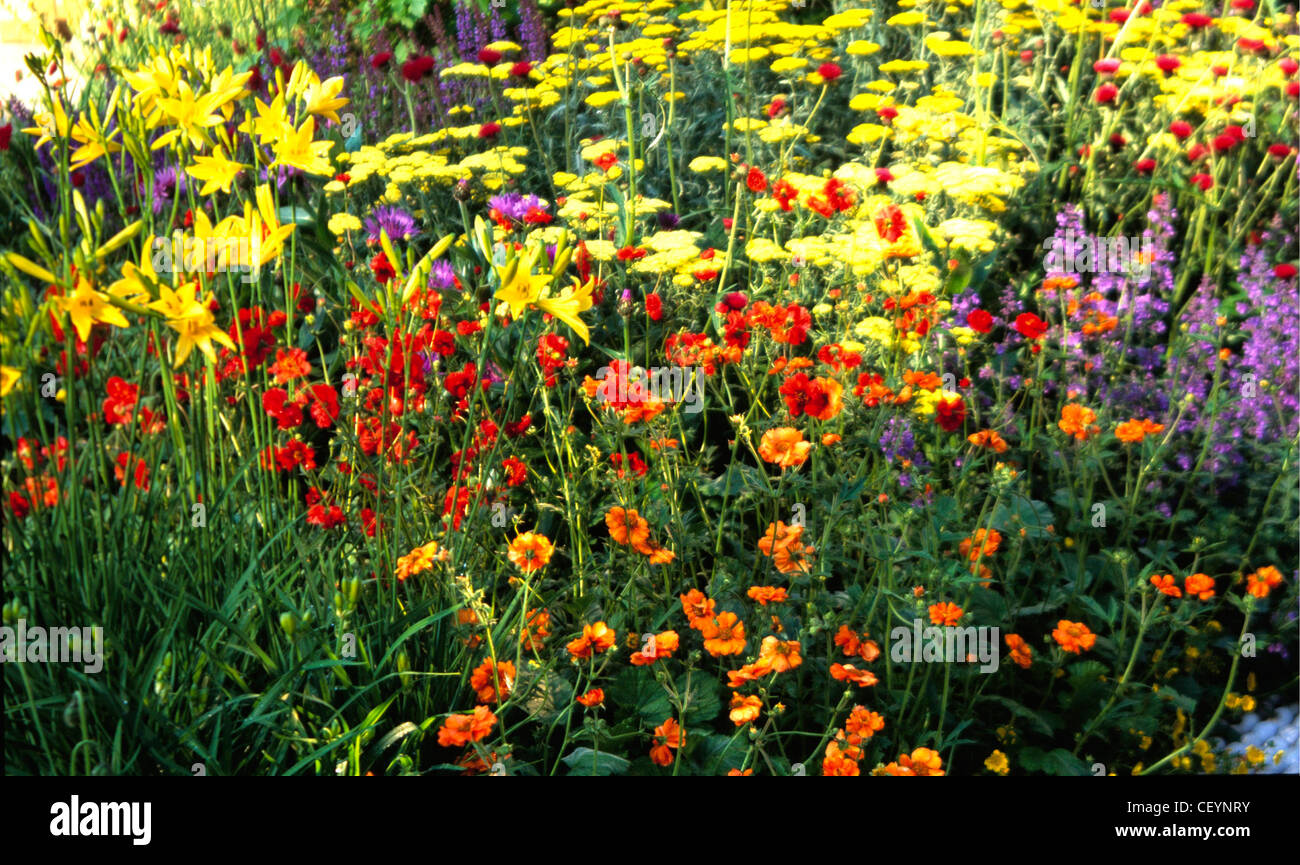 "Les petits jardins au Chelsea Flower show ' Jardin avec hémérocalles, geums et achilleas, jaune, violet, rouge et orange fleurs Banque D'Images