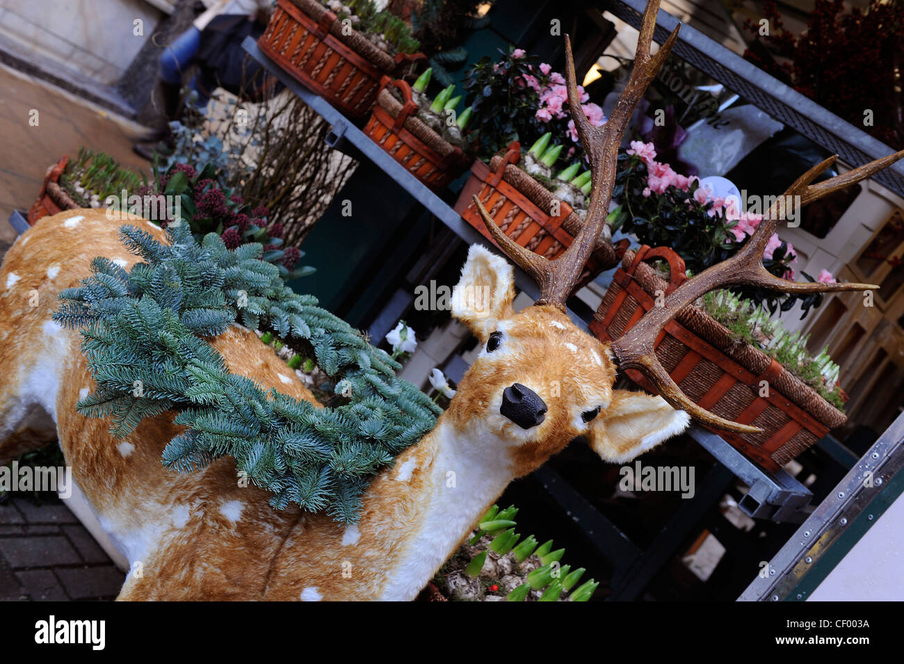 Un chevreuil avec couronne de Noël en face de la stalle de plantes à Londres Banque D'Images