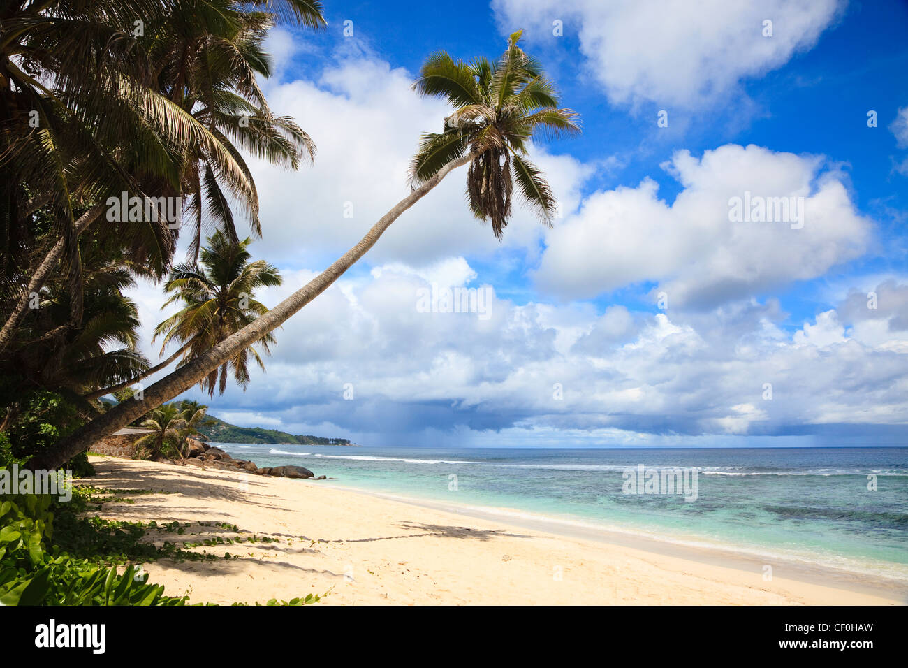 Anse Plage de Bougainville, l'île de Mahé, de l'Océan Indien, les Seychelles Banque D'Images
