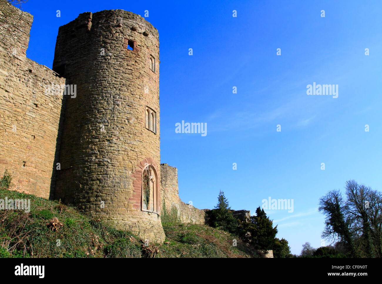 Ludlow Castle, Ludlow, Shropshire, Angleterre, Europe Banque D'Images