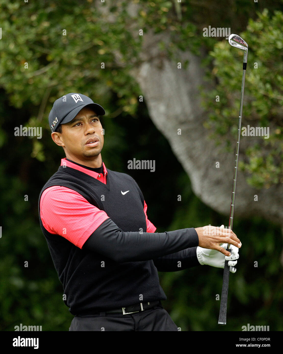 Le golfeur américain Tiger Woods Banque D'Images