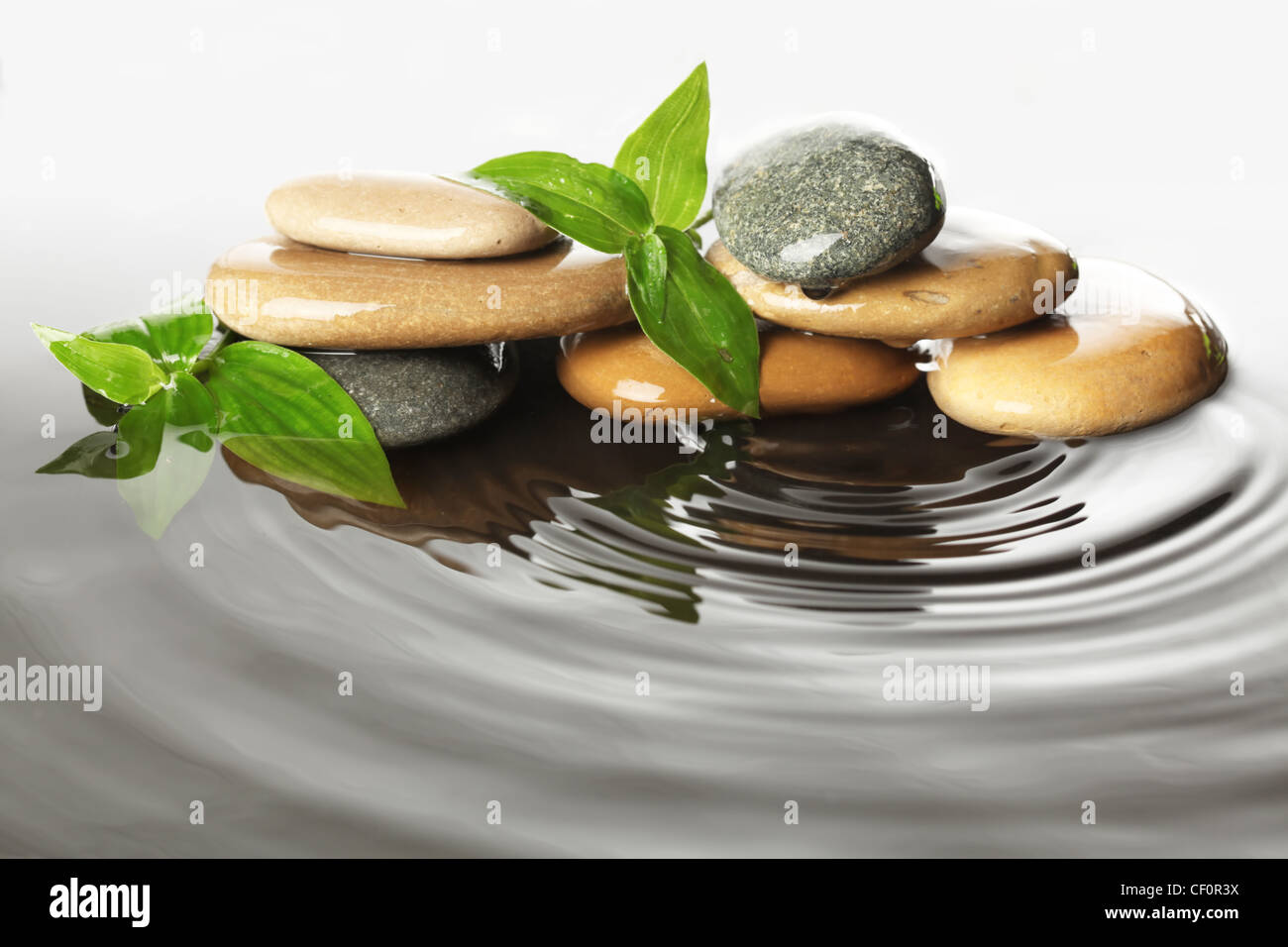 Des pierres dans l'eau avec des feuilles Banque D'Images