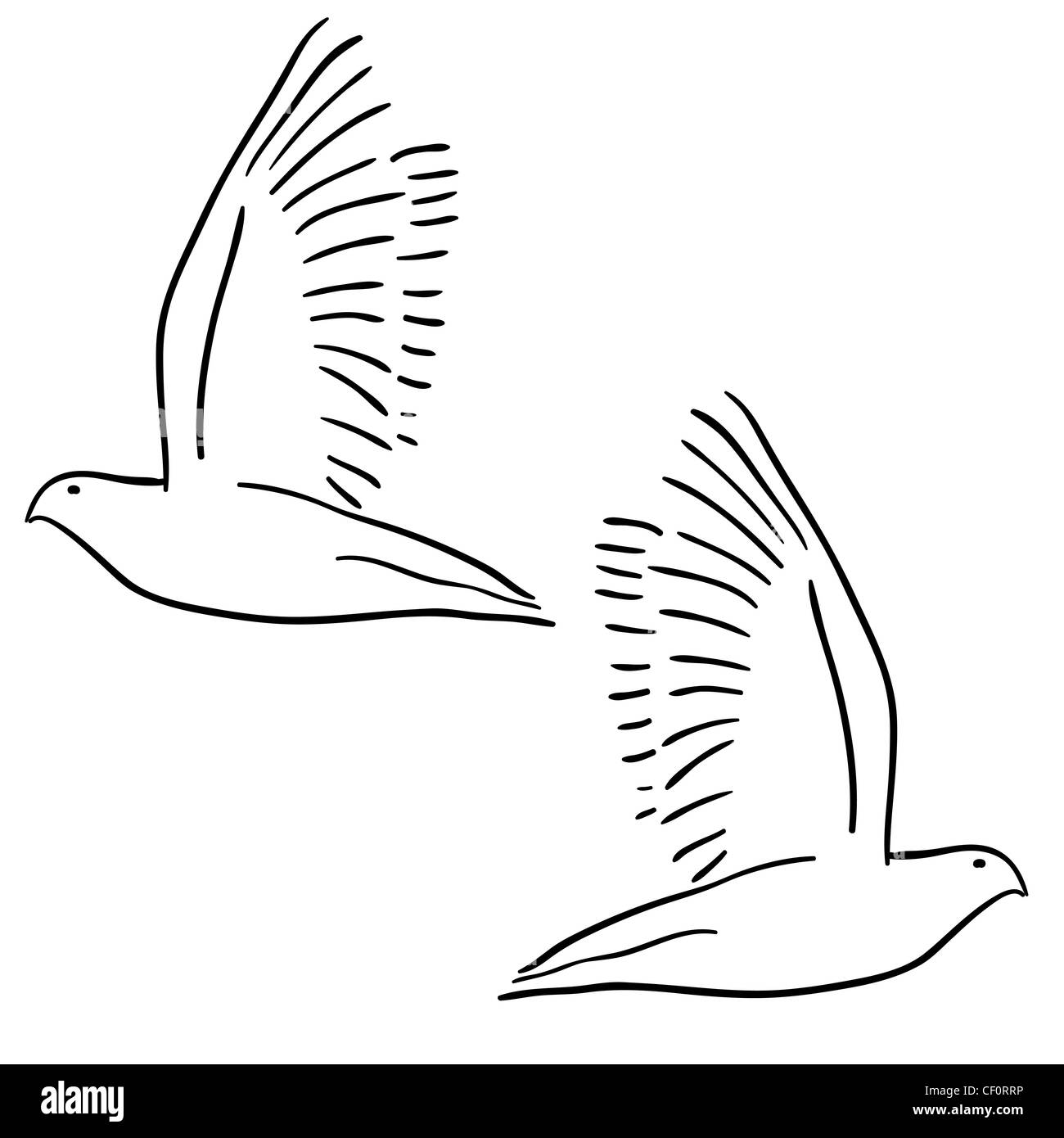 Concept d'amour ou de la paix. Ensemble de blanc de colombes. Banque D'Images