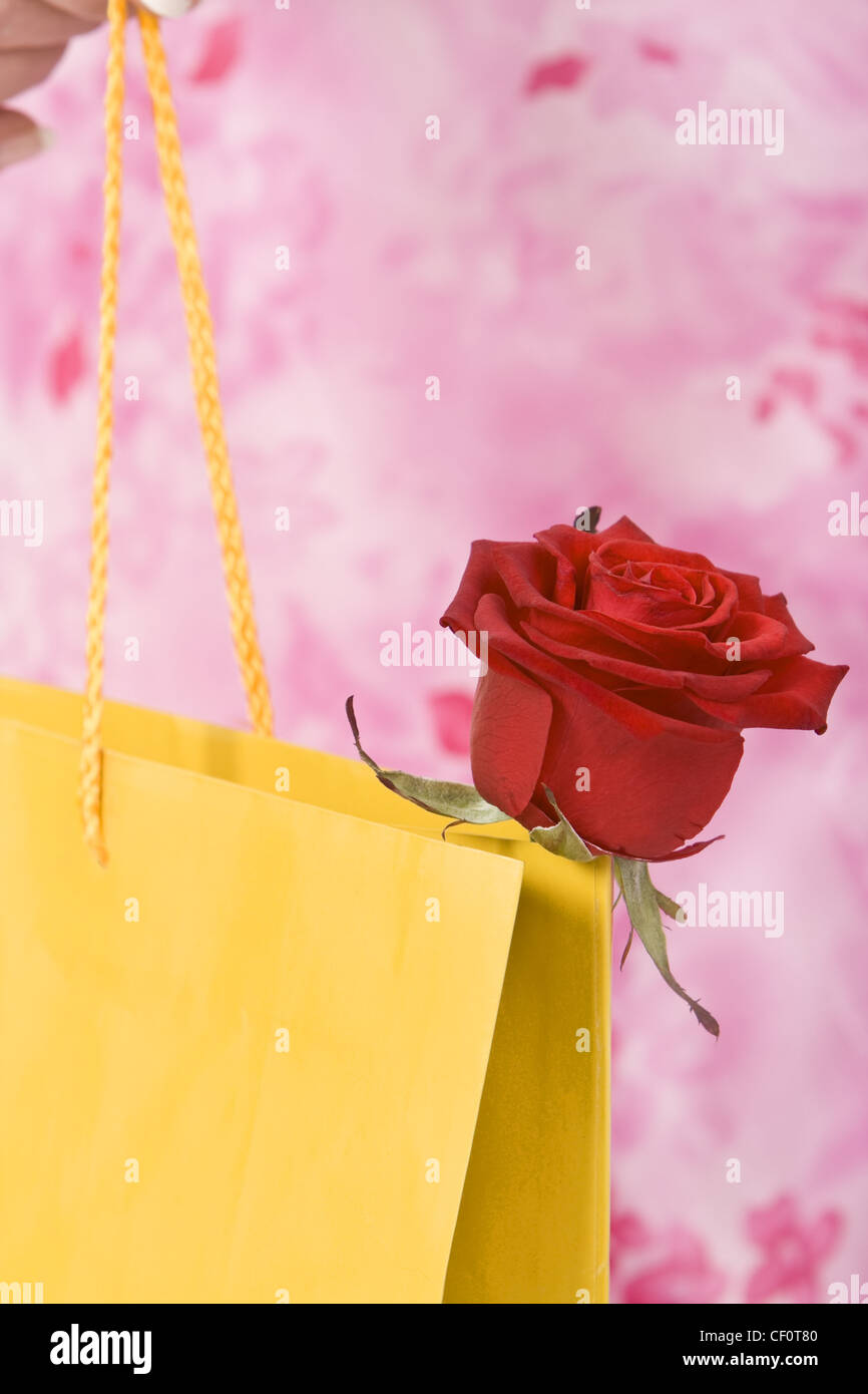 Image d'une rose qui sort d'un sac jaune. Banque D'Images